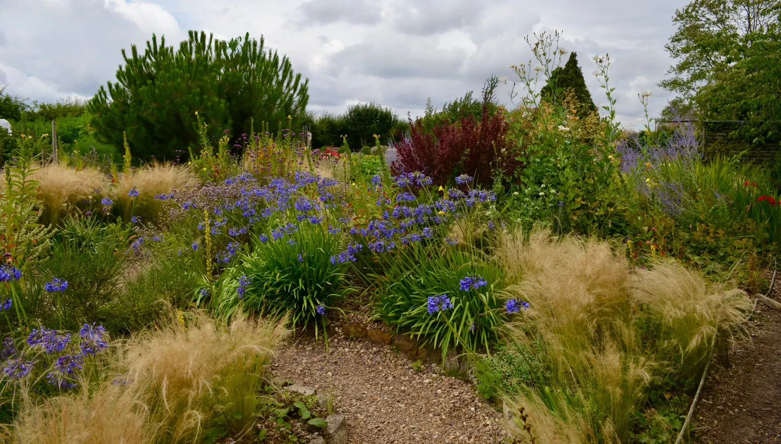 Zonnige border met siergrassen