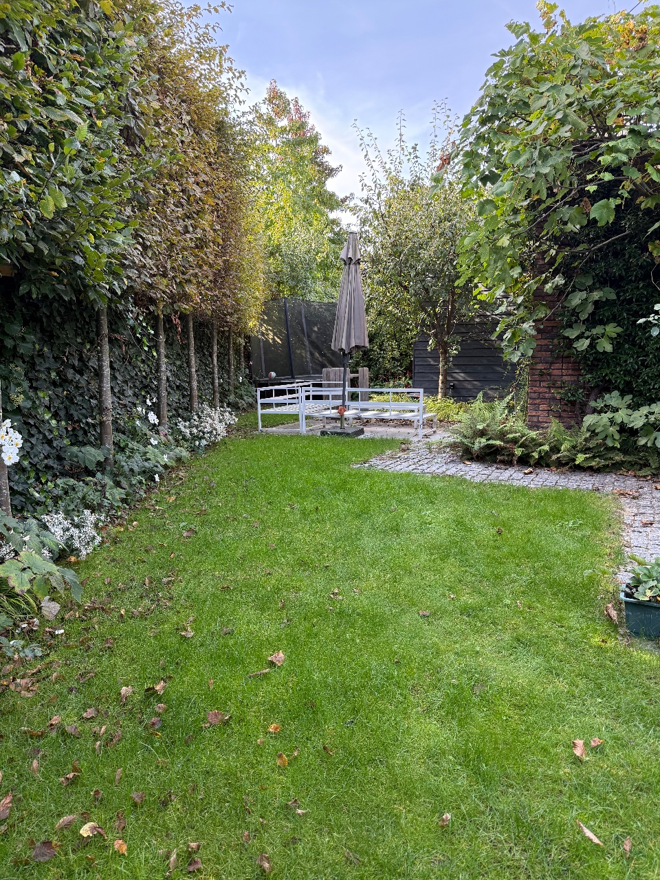 Pruimenboom, terras en waterpartij, foto 4