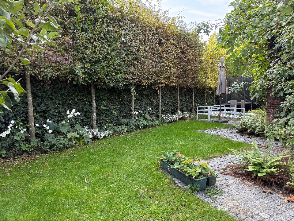 Pruimenboom, terras en waterpartij, foto 5